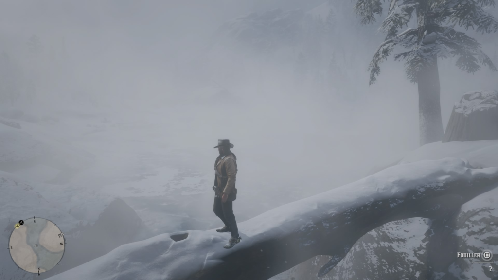 image-225-1024x576 Guide des chasses au trésor dans Red Dead Redemption 2 : Localisation et solutions